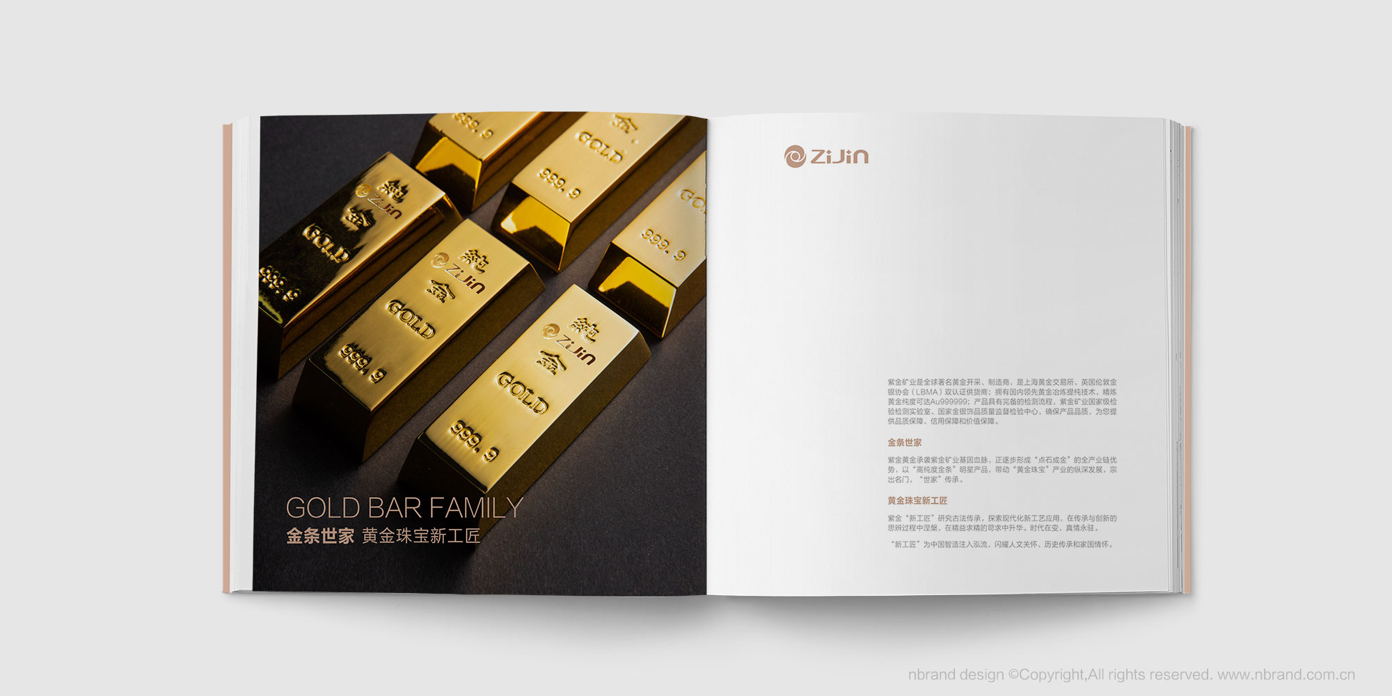 Ї(gu)500(qing)ϽVI(y)F(tun)Ʒ󮋃(c)a(chn)Ʒփ(c)O(sh)Ӌ(j)